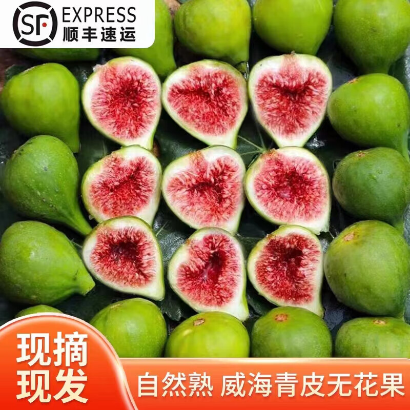 文枝顺丰空运次日达 威海青皮绿皮无花果 无花果鲜果新鲜水果当季孕妇 1500g高性价比高么？