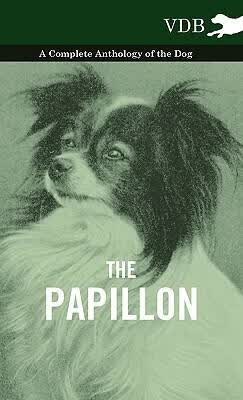 预订The Papillon - A Complete Anthology of the Dog