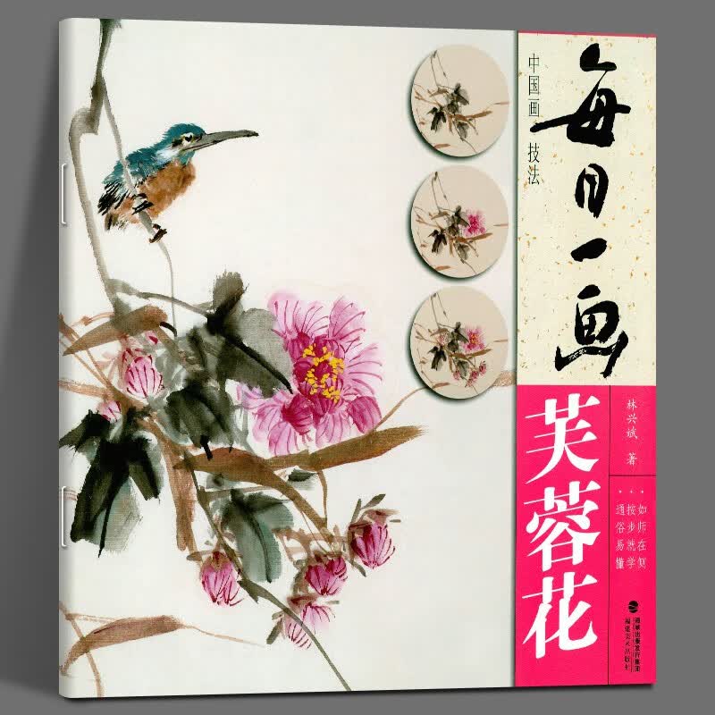 【正版现货】每日一画 芙蓉花 中国画技法国画入门基础教程书写意水墨