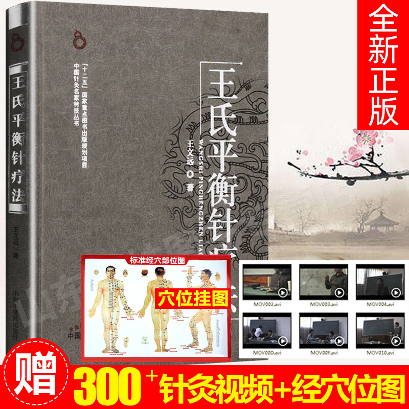 王氏平衡针疗法 王文远 中国针灸名家丛书中国中医药出版社 平衡针灸