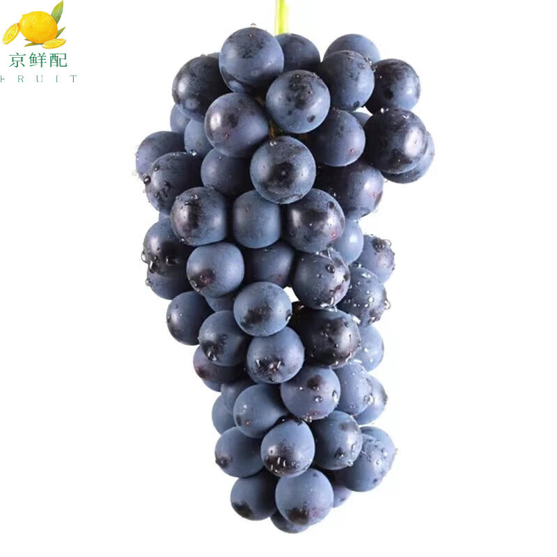 京臻峙果现摘云南夏黑葡萄新鲜无籽葡萄应当季孕妇水果 2斤