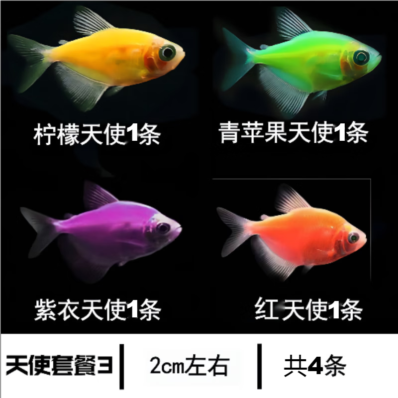 京东的水族活体历史价格在哪看|水族活体价格比较
