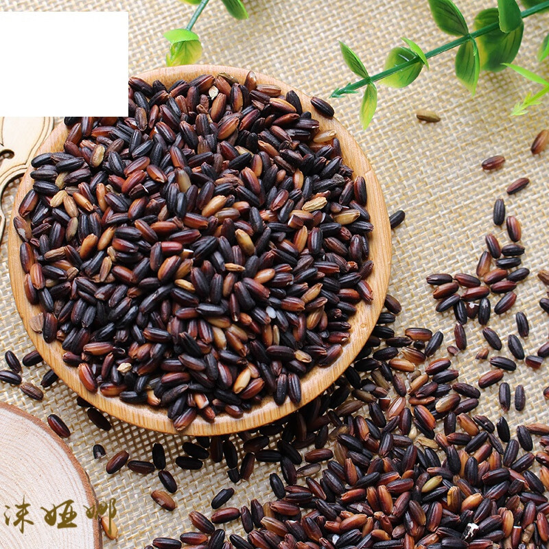 虎钢馋农家产血糯米5斤黑糯米粽子米2500g新米紫糯米五谷粗粮非黑米