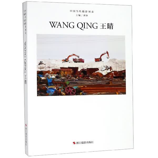 王晴(精)/中国当代摄影图录