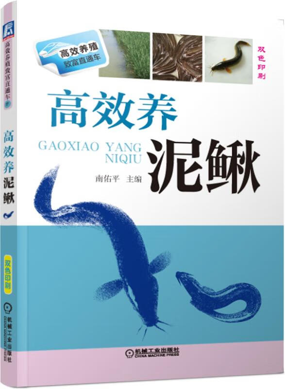 高效养泥鳅(双色印刷)/高效养殖致富直通车