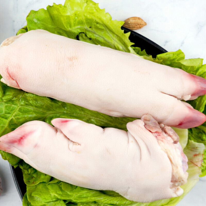 鲜档猪蹄叫张开大嘴 胃口大开新鲜猪前蹄整只带筋猪蹄 新鲜猪前蹄小的