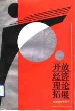 开放经济理论拓展