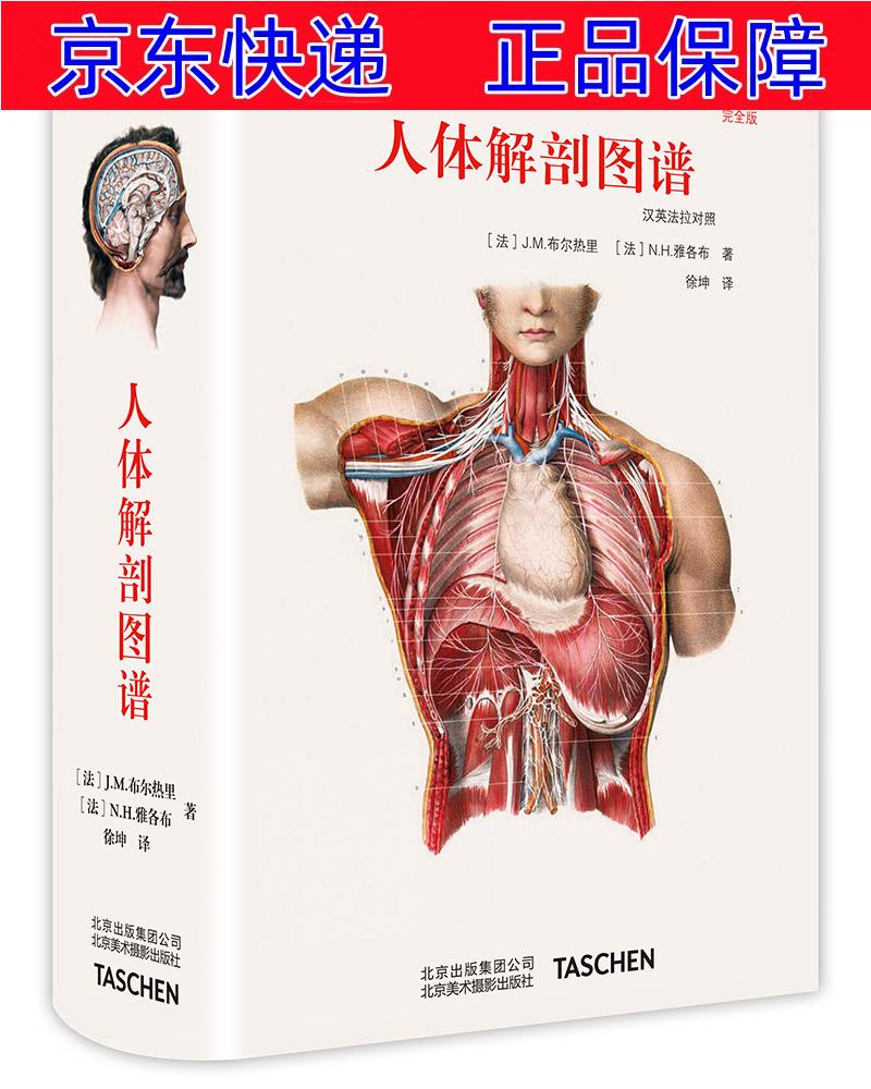正版图书 人体解剖图谱(汉英法拉对照) 百科知识系列 人体解剖图谱