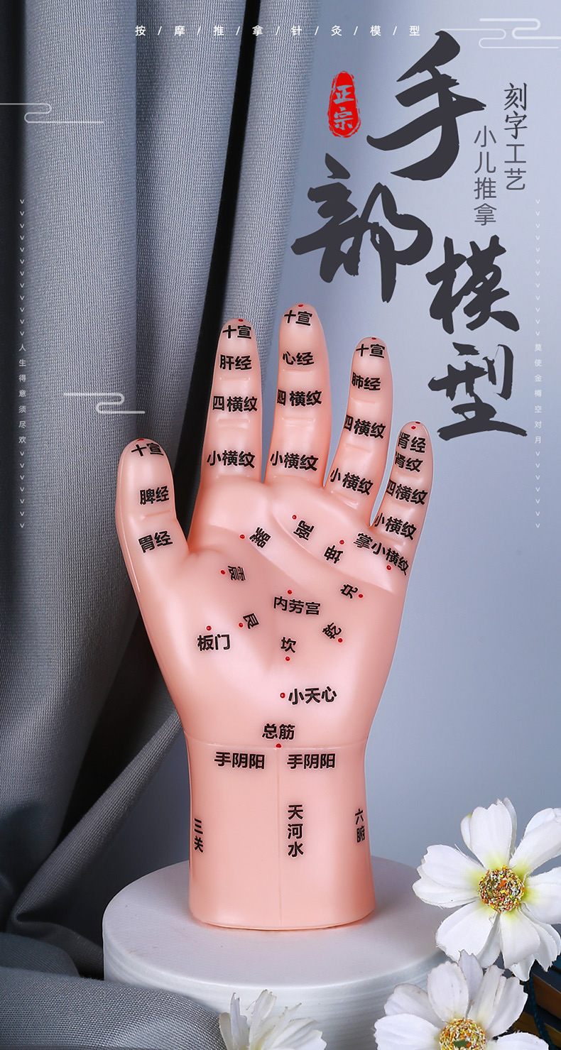 区人体针灸模型男女穴位经络针灸中医位手图17厘米 按摩手模型 点穴笔
