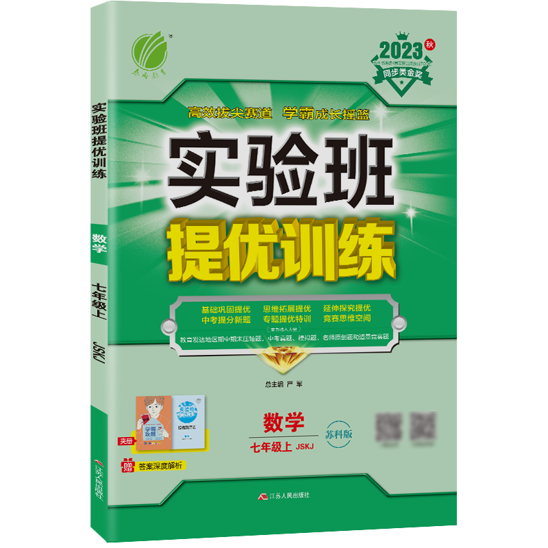 实验班提优训练 初中数学七年级上册 苏科版JSKJ 课时同步强化练习拔高特训 2023年秋