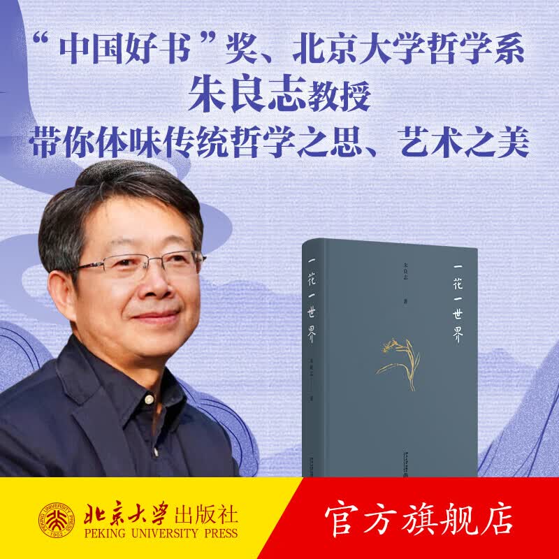 一花一世界 朱良志 北京大学旗舰店正版