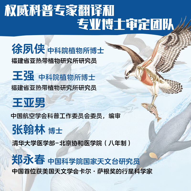 万物运转的秘密（全10册）儿童科普百科全书亲子共读启蒙读物博物大百科小学生 7-10-14岁一二三四五年级课外阅读 大开本更清晰 高清透视图