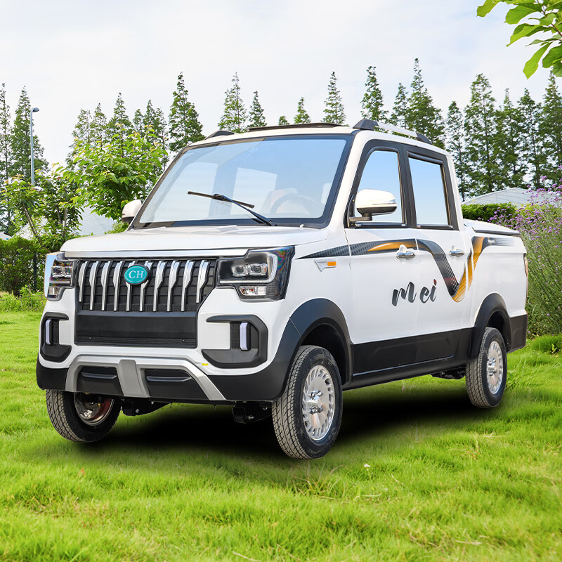 runtema启巡四轮电动车家用新能源汽车小型代步车女成年人老头乐电瓶