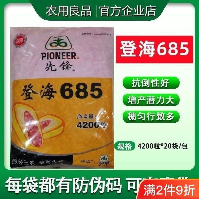 细辛登海685矮杆大棒红轴抗锈病抗倒伏抗旱耐涝4200粒抗倒伏 4200粒两