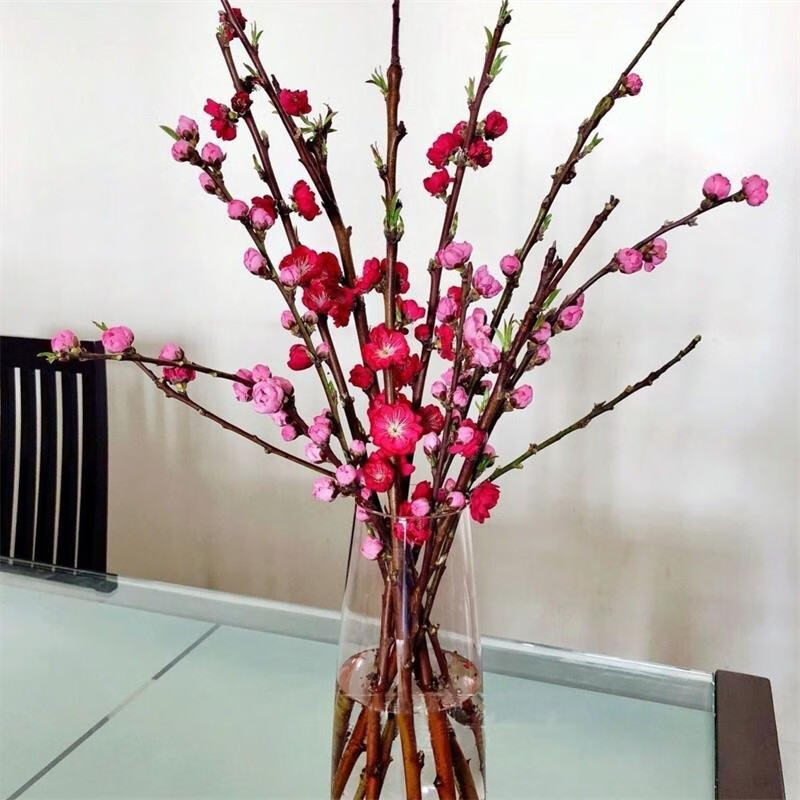 鑫鑫牛干枝龙柳腊梅玉兰遇水即开浓香型水培鲜切花干枝梅花耐寒植物真