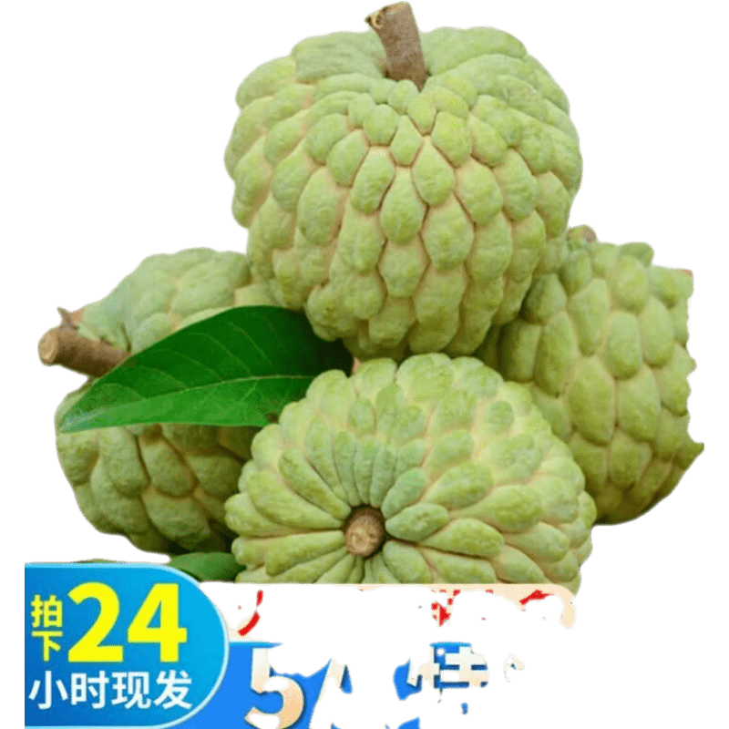 京东怎么查番荔枝释迦历史价格|番荔枝释迦价格历史