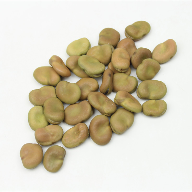 5折 干蚕豆5斤新蚕豆生蚕豆胡豆2500g农家新鲜五谷杂粮可发豆芽