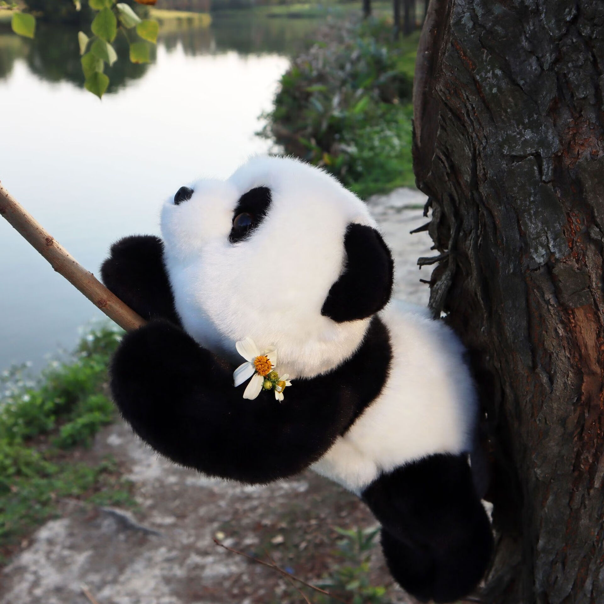 绿野客花花萌兰熊猫公仔仿真公仔玩偶小号毛绒玩具国宝趴姿可爱小熊