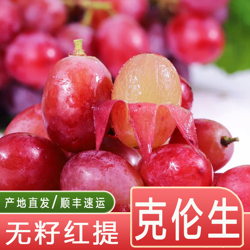 提子水果克伦生无籽葡萄 新鲜孕妇红提 整箱批发 顺丰速运 优选尝鲜装