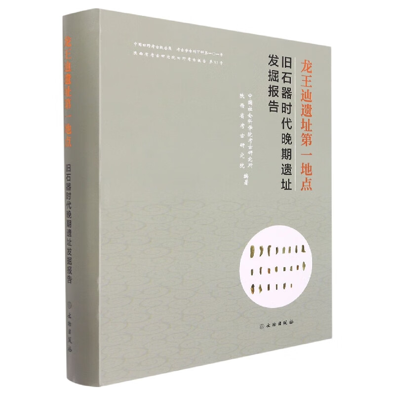 龙王辿遗址第一地点——旧石器时代晚期遗址发掘报告