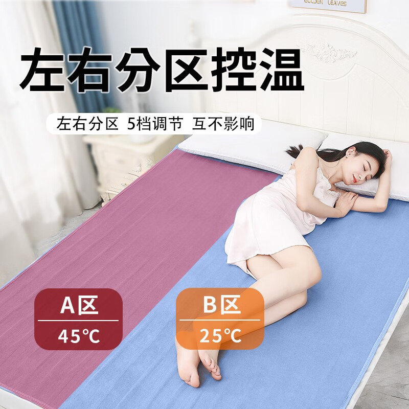 贵人梦电热毯双人双控1.8米2米调温学生宿舍家用防漏电除湿单人电褥子 纯色亲肤绒-智能定时 180*120cm单控