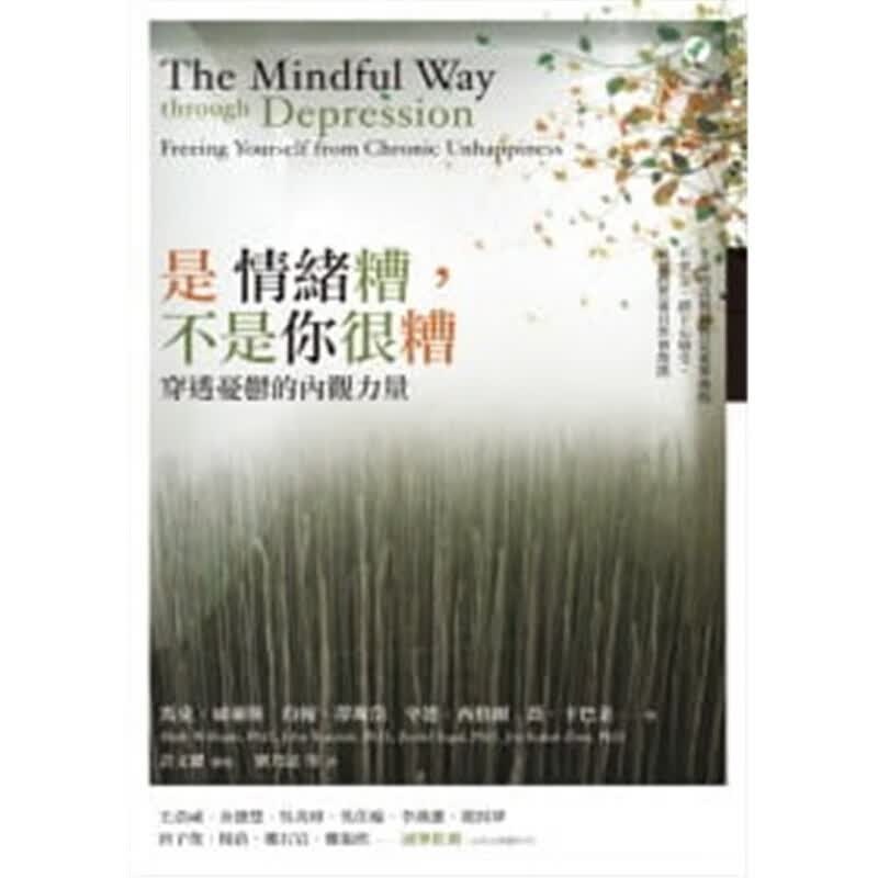 预订台版 是情绪糟 不是你很糟穿透忧郁的内观力量 青春励志生活工作心灵鸡汤心理励