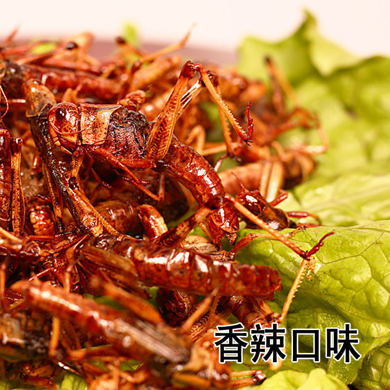 蝗虫食品 网红新鲜油炸即食香辣蝗虫零食昆虫活体活虫蚱蜢虫子美食