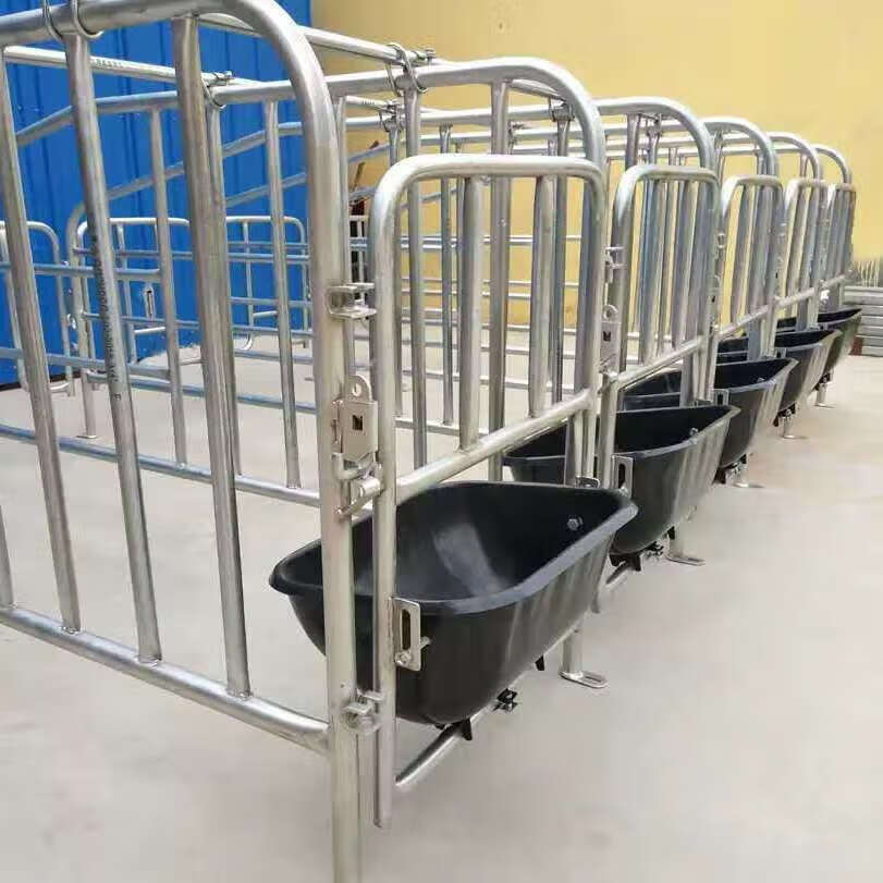 5复合漏粪板限位栏10位5位母猪产床养殖 一组5位60宽落地式带料槽(配