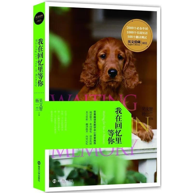 我在回忆里等你 (单册)