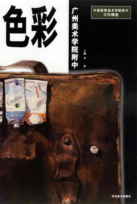 色彩 中国高等美术学院附中习作精选 李涛 主编 9787531022923 河北