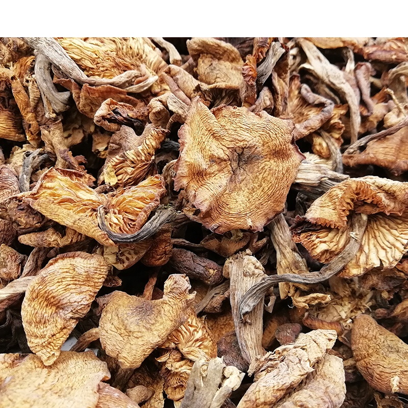 虎钢馋东北榛蘑干货500g长白山土特产小鸡炖蘑菇新货去根农家1斤装