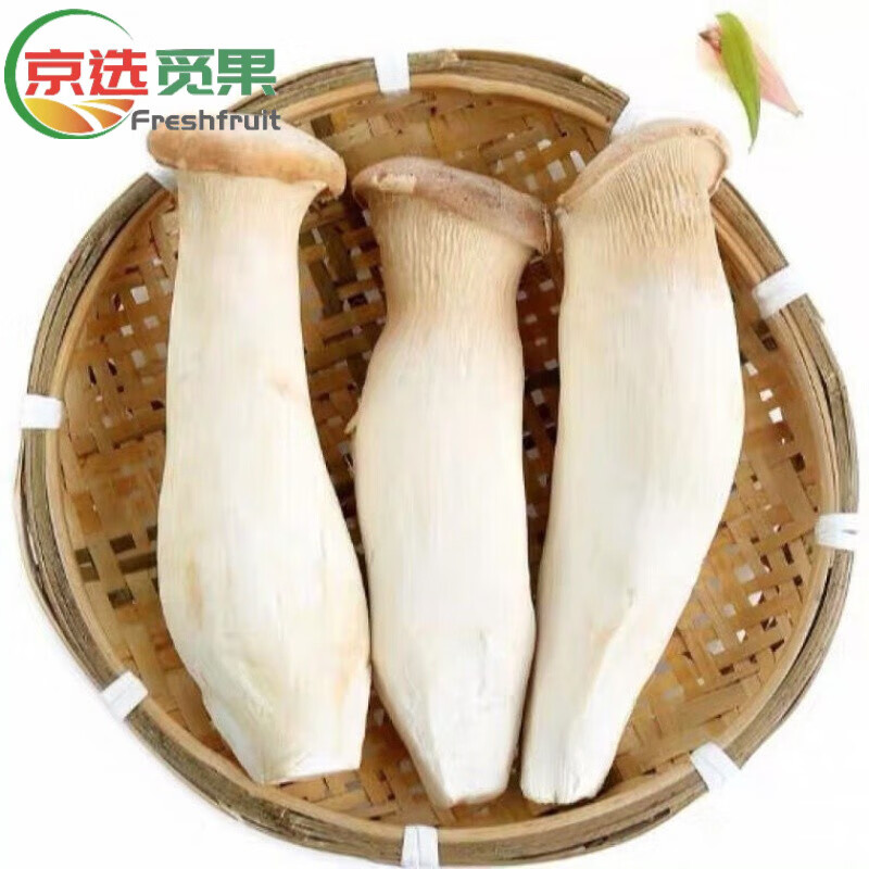 京果怡人杏鲍菇 常用煲汤烧烤新鲜蔬菜 食用菌菇杏鲍鸡腿菇现采现 3斤