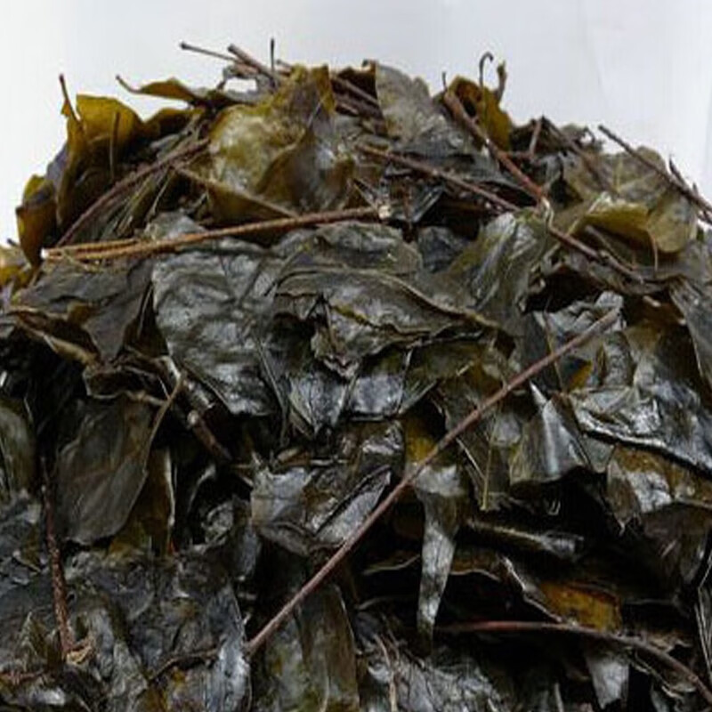 欧贤禾贵州遵义茶苦丁茶大叶苦丁茶农家老叶苦丁茶泡茶清爽茶叶