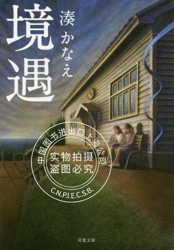 现货 小说 凑佳苗 境遇 境遇 进口日文