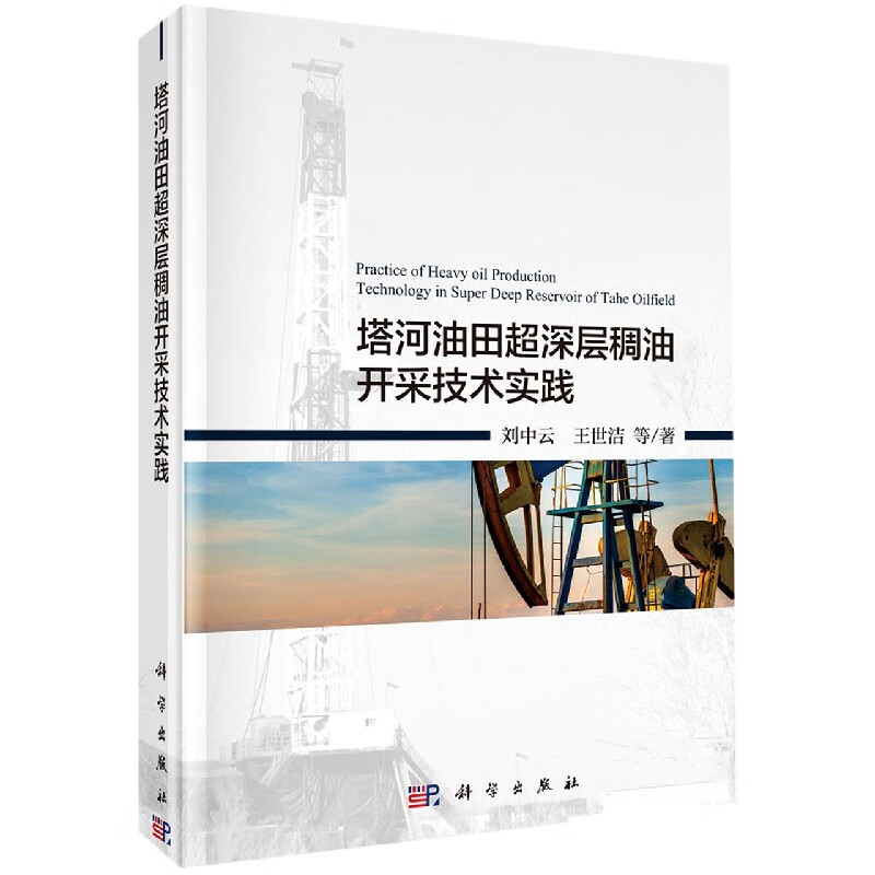 塔河油田超深层稠油开采技术实践(精)
