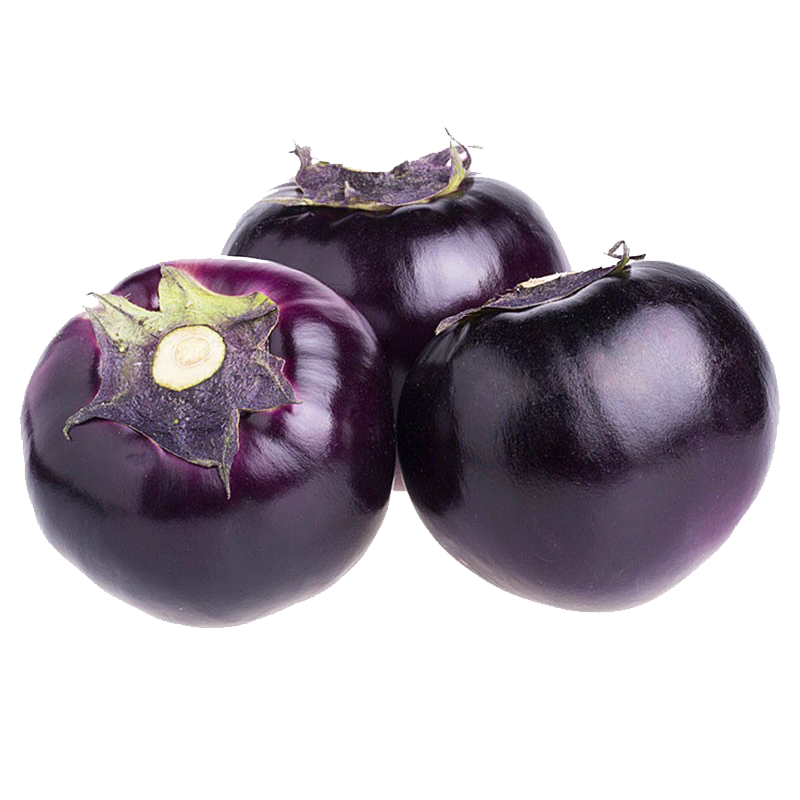 ��� ɽ�������� Բ���� ������ �����߲� �������� 4.5��װ