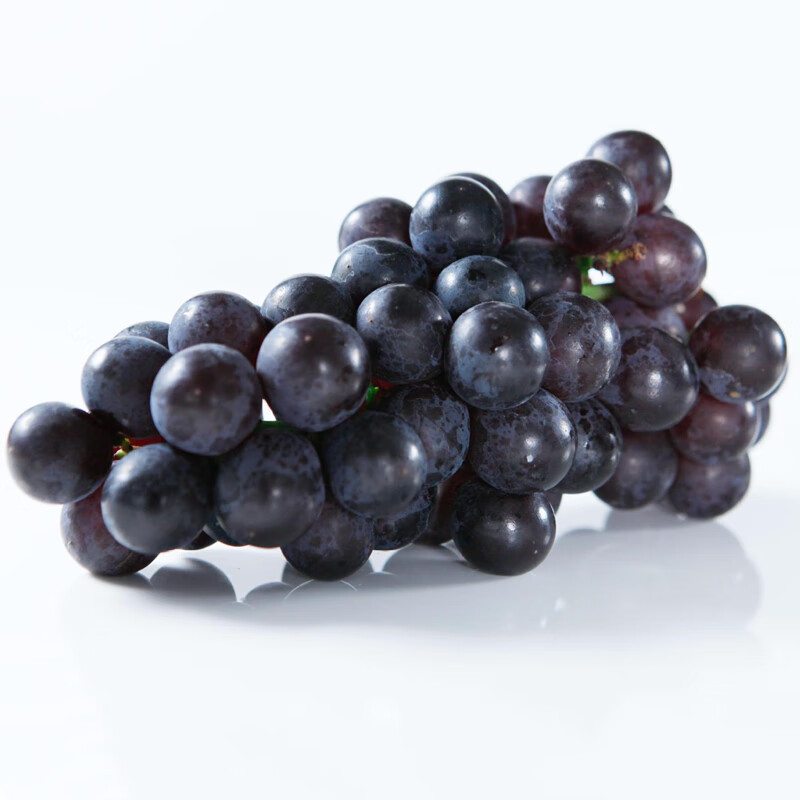 礼京果觅巨峰葡萄东北辽宁辽峰葡萄新鲜水果礼盒整箱当季大果孕妇水果