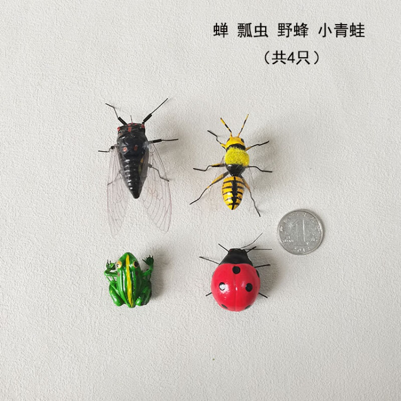 skids仿真昆虫子摆件青蛙七星瓢虫标本蜜蜂模型蝉动物工艺装饰拍摄