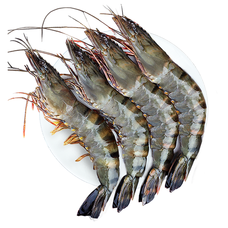 ���ڲ��������� ӡ���ʶ���źڻ�Ϻ����2�� 20-30ֻ/�� �߽�Ϻ��Ϻ����Ϻ��  83Ԫ