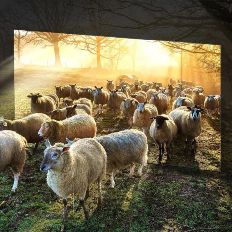 三星(SAMSUNG)官翻机 QN900 8K 精准控光超薄Neo QLED光质量子点液晶网络电视 75英寸 QA75QN900AJXXZ