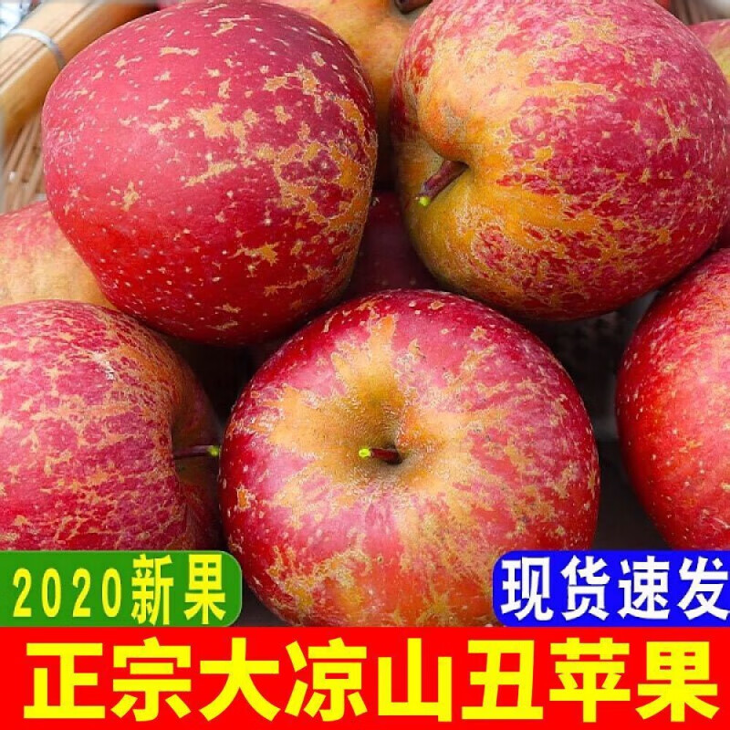 y大凉山盐源丑苹果冰糖心新鲜苹果红富士苹果脆甜 丑苹果5斤中果