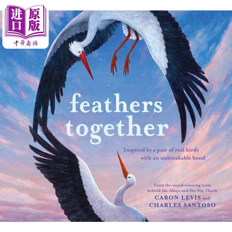 caron levis feathers together 永远在一起 英文原版 精品绘本 动物