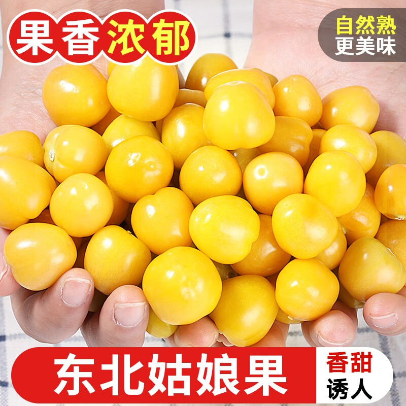 探味君 东北姑娘果 灯笼果黄菇娘洋姑娘果 新鲜水果 精选3斤