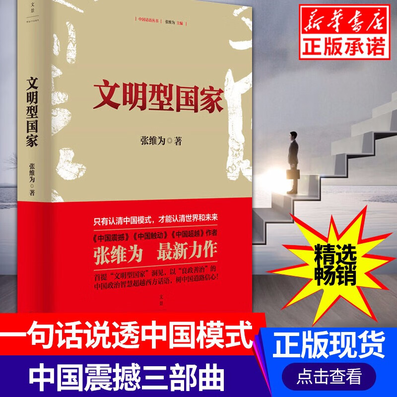 文明型国家(精)/中国话语丛书