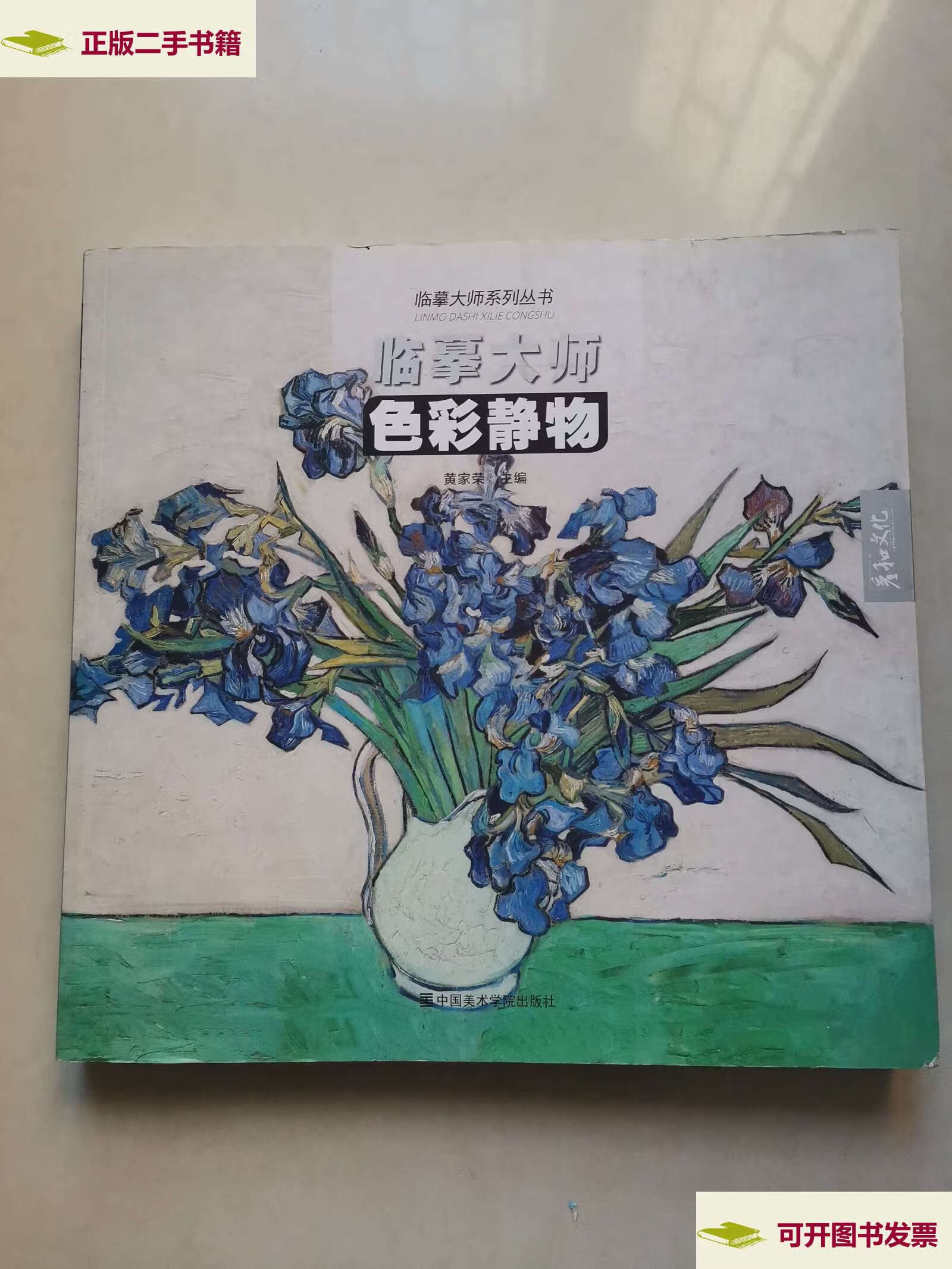 【二手9成新】临摹大师 色彩静物 /黄家荣 中国美术学院