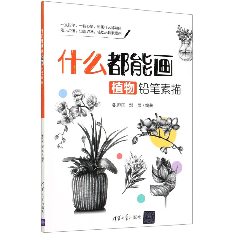 什么都能画(植物铅笔素描)