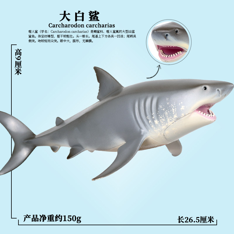 Oenux儿童认知仿真海底世界海洋动物玩具模型套装摆件 空心大白鲨