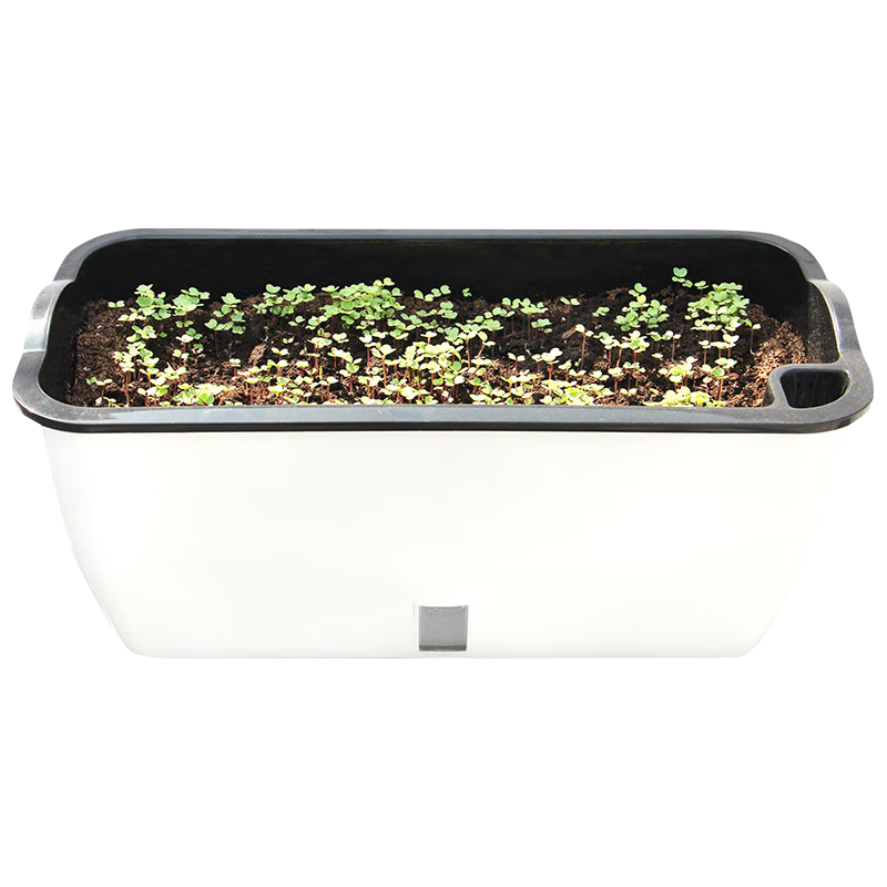 奧美優(yōu) 種菜盆長方形種植箱塑料加厚自動吸水花盆種菜箱蔬菜種植盆 大號