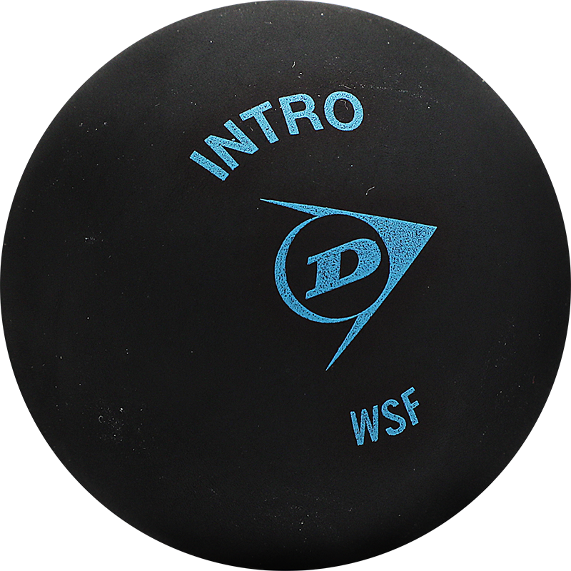 DUNLOP ��»�� ���� ������ ����ѡ�� 700105 27.28Ԫ