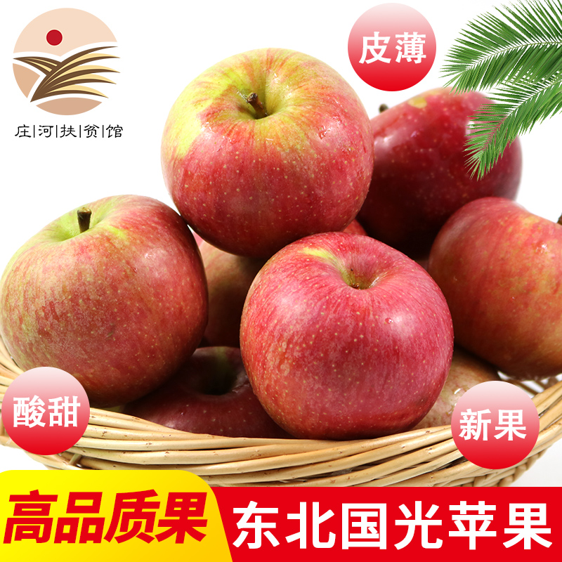 [庄河馆]老树国光苹果5斤 丑苹果酸甜可口 新鲜水果 东北辽宁特产 真国光不套袋笨果